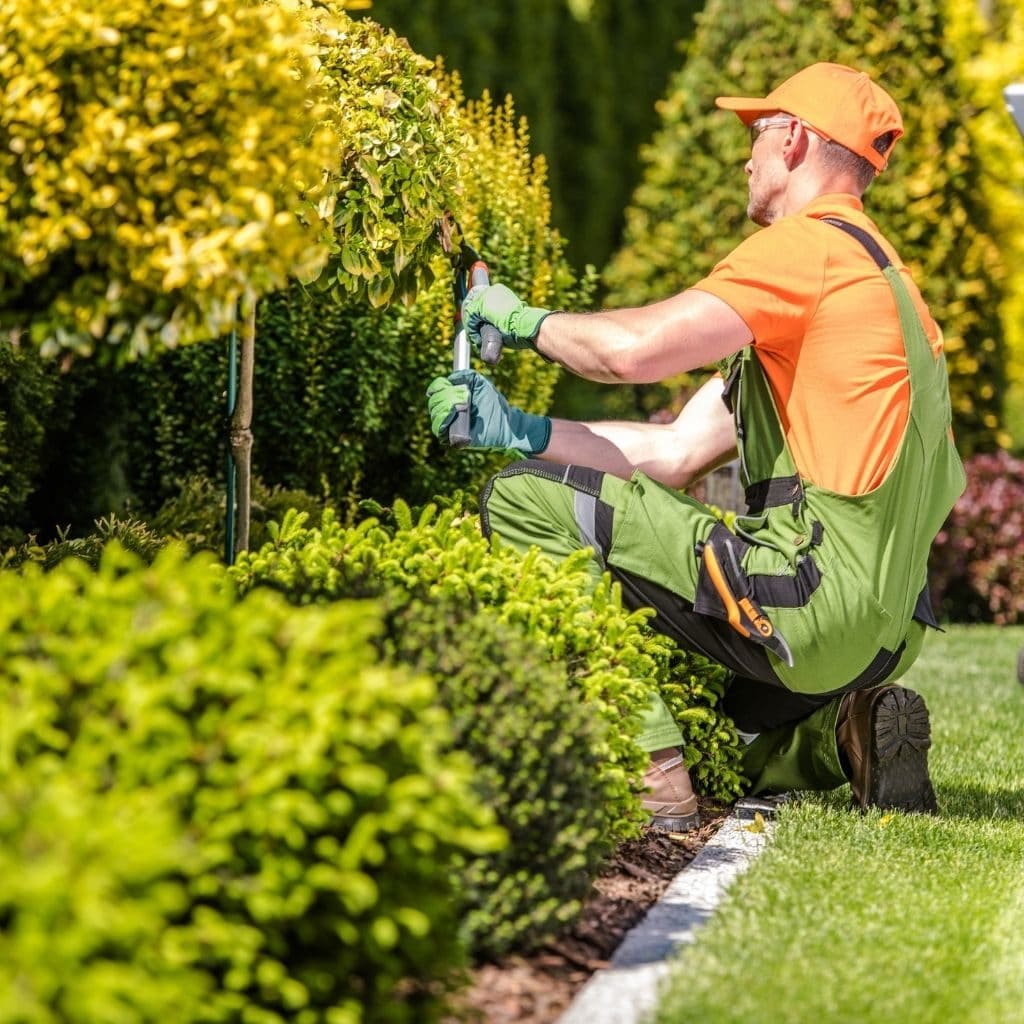Lawn & Outdoor Services